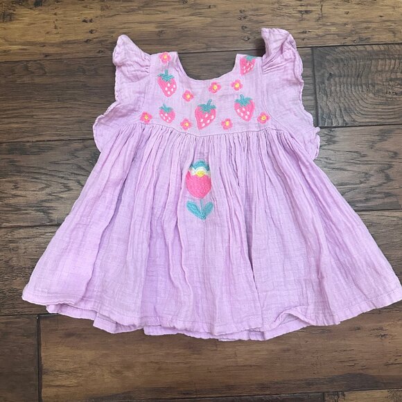 Everbloom Embroidered Strawberry Dress - Picture 1 of 4
